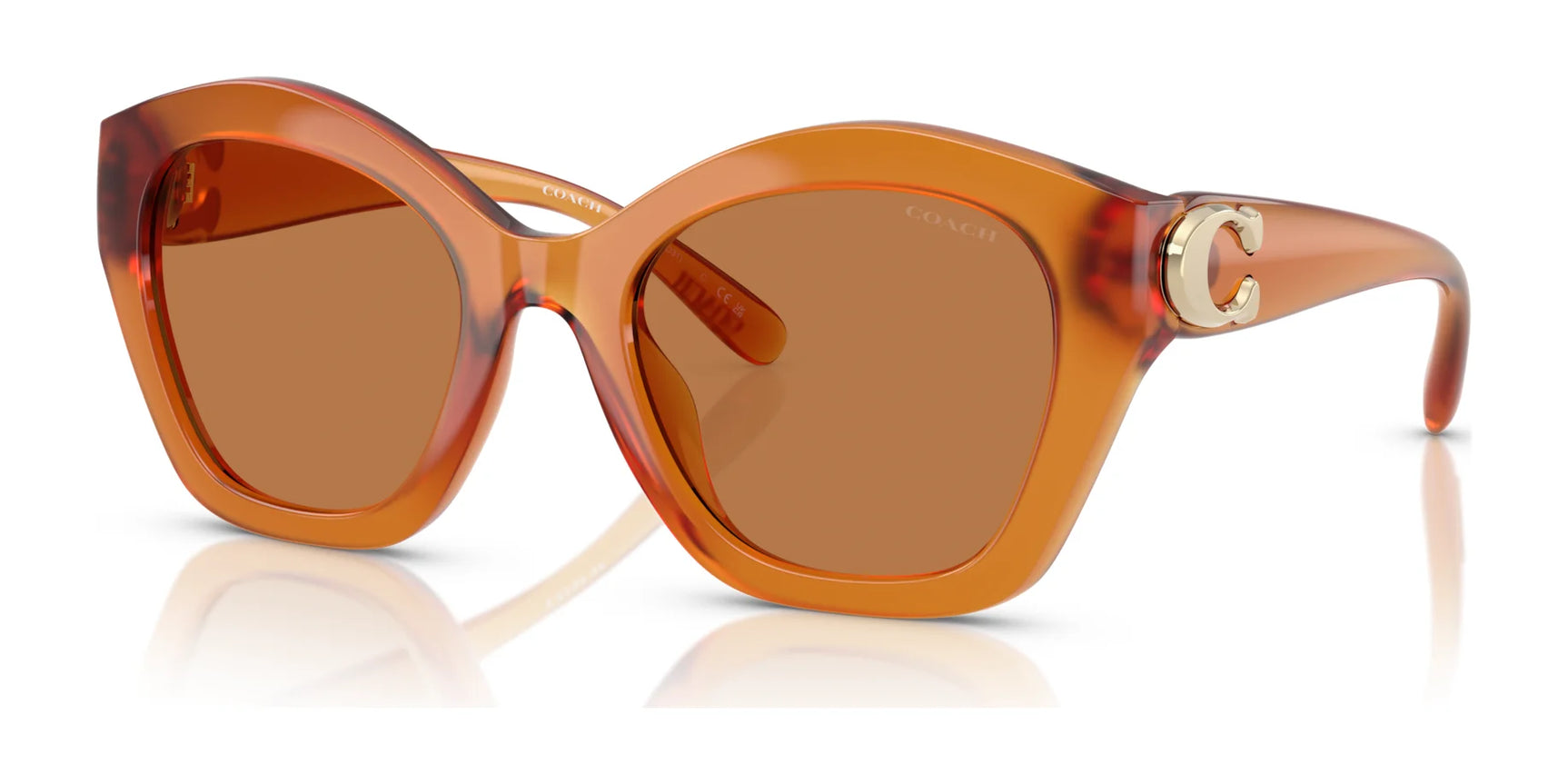 Coach CAD31 HC8421U Sunglasses | Size 54 Coach CAD31 HC8421U Sunglasses | Size 54