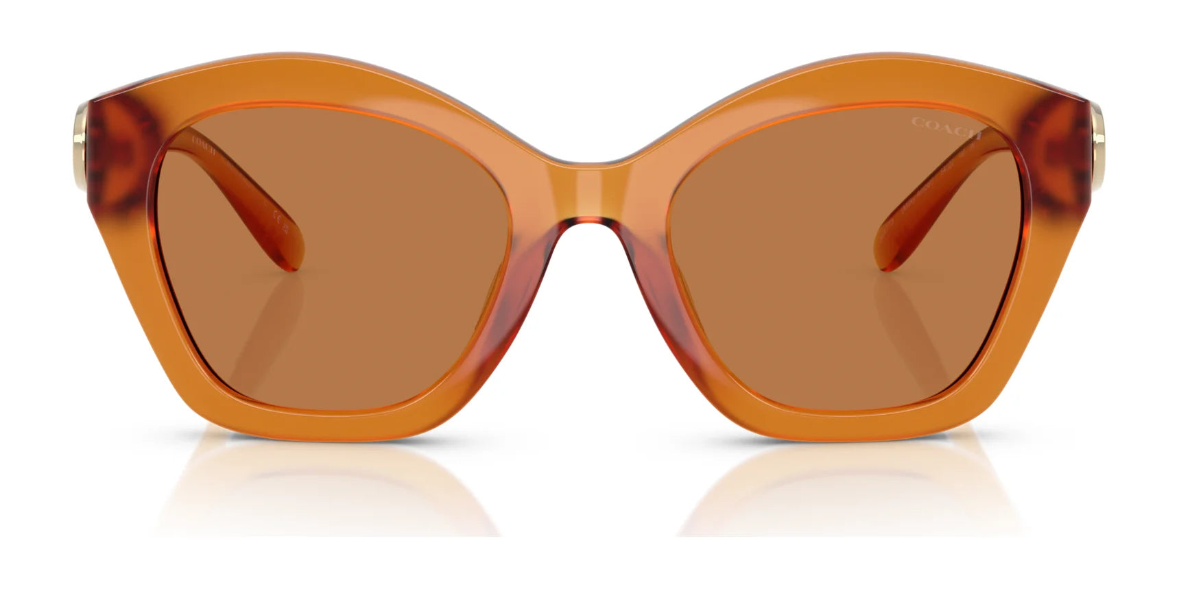 Coach CAD31 HC8421U Sunglasses | Size 54 Coach CAD31 HC8421U Sunglasses | Size 54