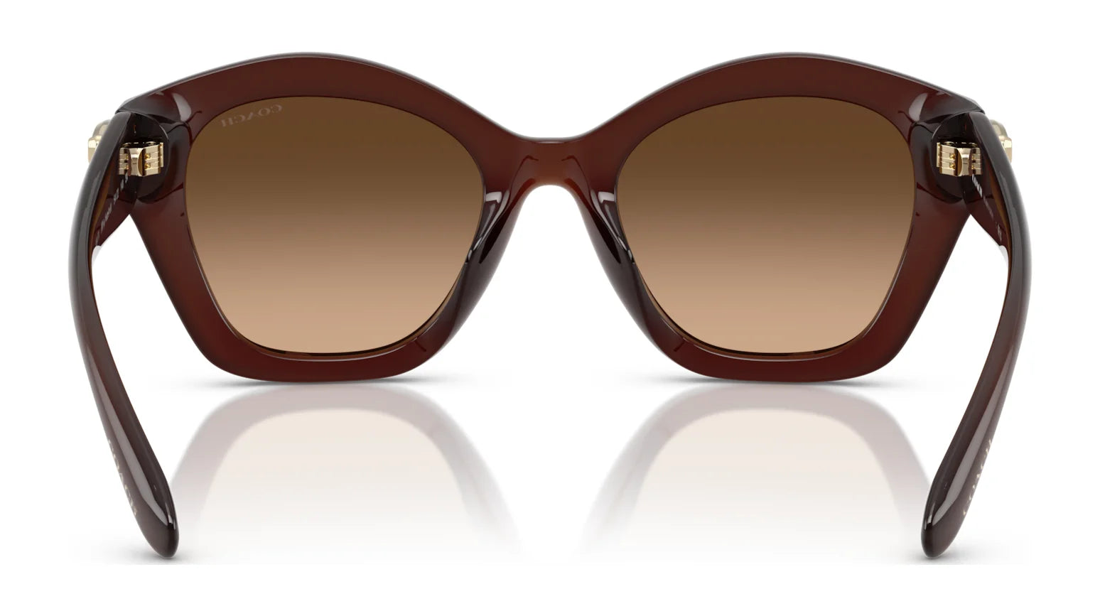 Coach CAD31 HC8421U Sunglasses | Size 54 Coach CAD31 HC8421U Sunglasses | Size 54