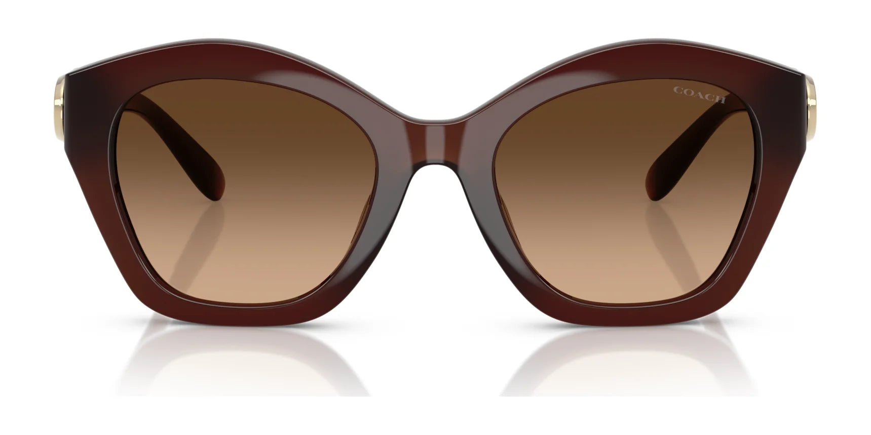 Coach CAD31 HC8421U Sunglasses | Size 54 Coach CAD31 HC8421U Sunglasses | Size 54