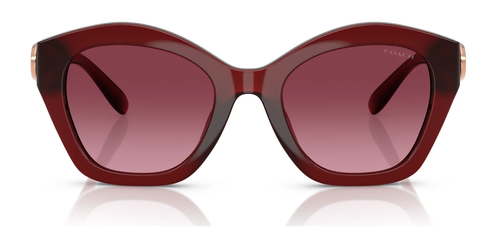 Coach CAD31 HC8421U Sunglasses | Size 54 Coach CAD31 HC8421U Sunglasses | Size 54