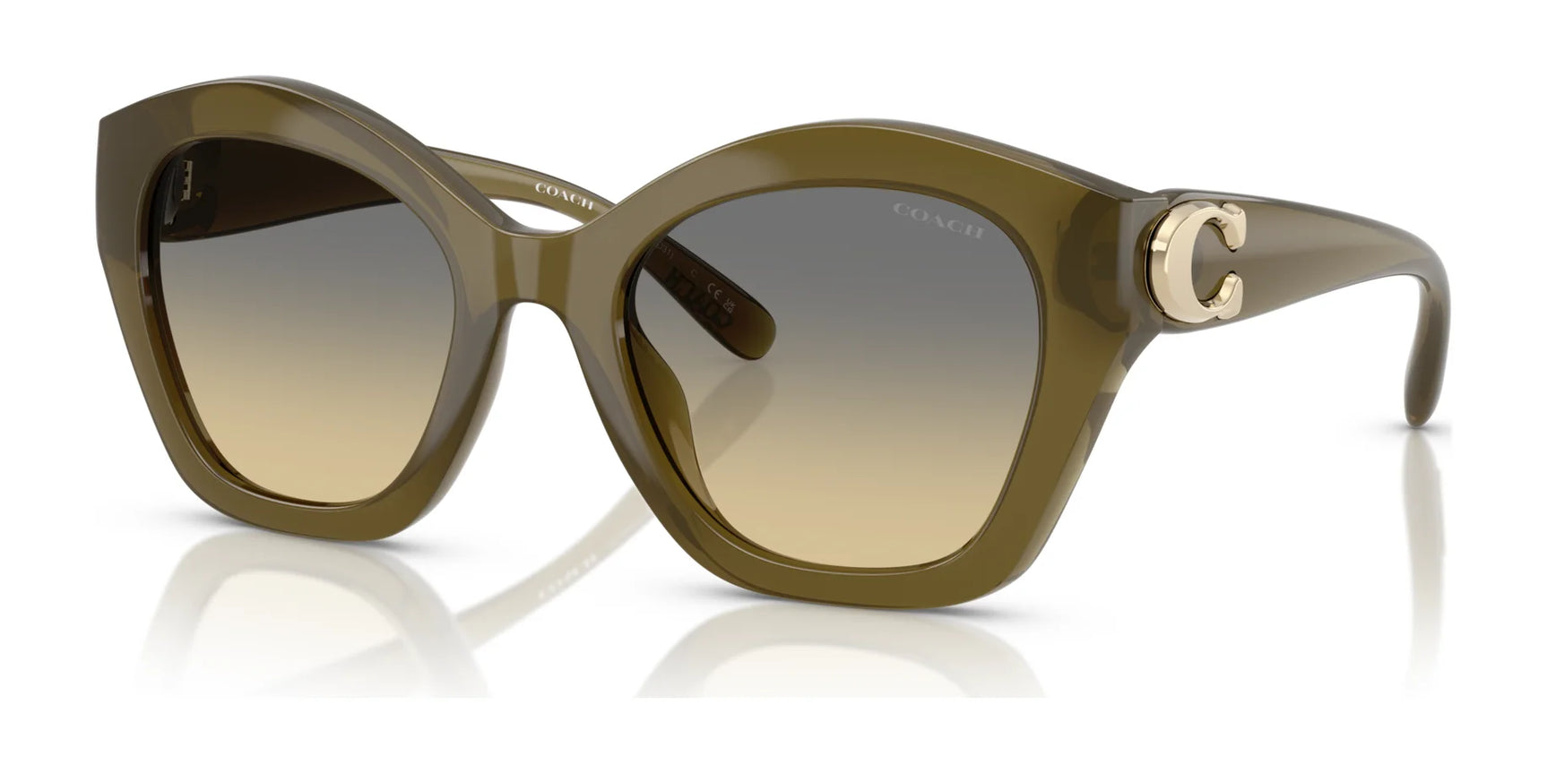 Coach CAD31 HC8421U Sunglasses | Size 54 Coach CAD31 HC8421U Sunglasses | Size 54