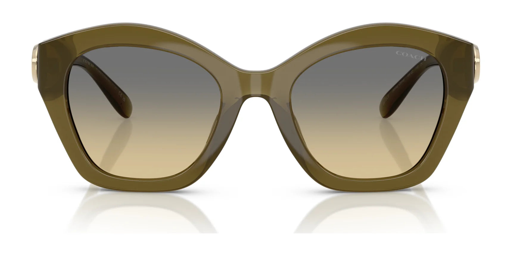 Coach CAD31 HC8421U Sunglasses | Size 54 Coach CAD31 HC8421U Sunglasses | Size 54