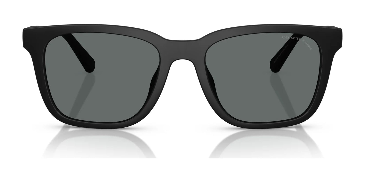 Coach CAD81 HC8426U Sunglasses | Size 54 Coach CAD81 HC8426U Sunglasses | Size 54