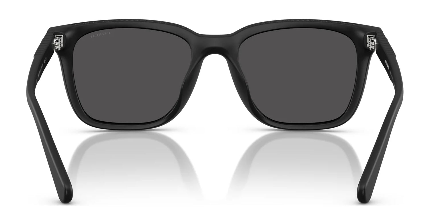 Coach CAD81 HC8426U Sunglasses | Size 54 Coach CAD81 HC8426U Sunglasses | Size 54