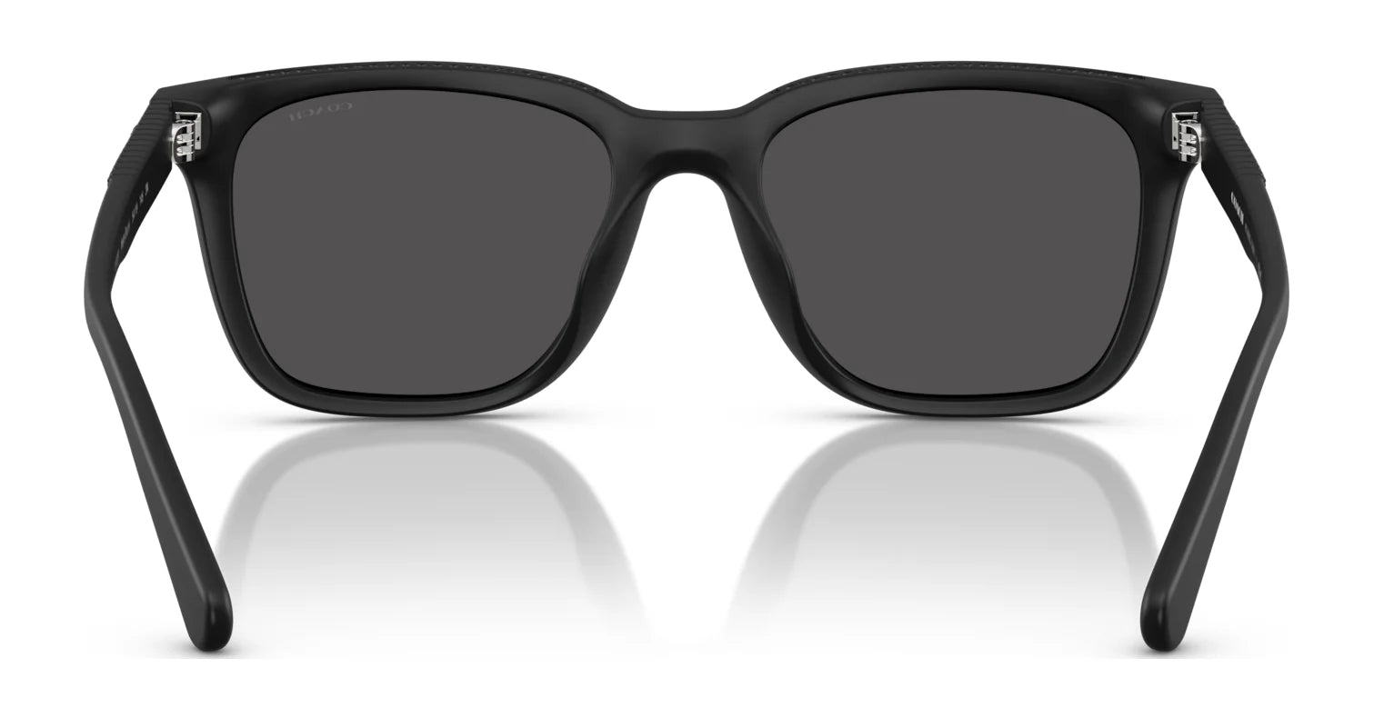 Coach CAD81 HC8426U Sunglasses | Size 54 Coach CAD81 HC8426U Sunglasses | Size 54