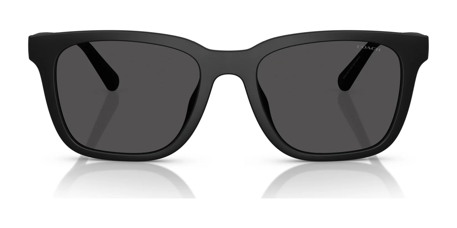 Coach CAD81 HC8426U Sunglasses | Size 54 Coach CAD81 HC8426U Sunglasses | Size 54