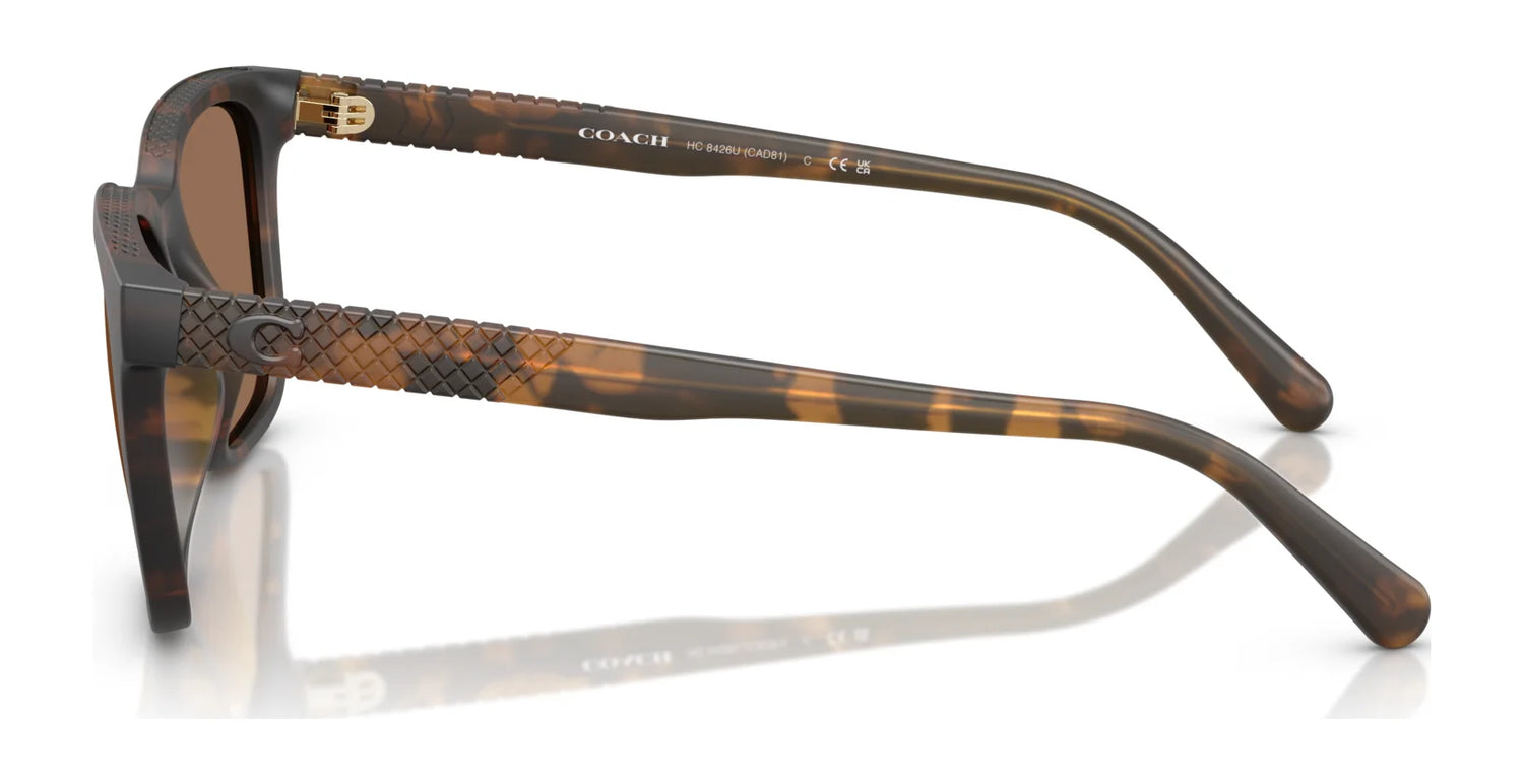 Coach CAD81 HC8426U Sunglasses | Size 54 Coach CAD81 HC8426U Sunglasses | Size 54