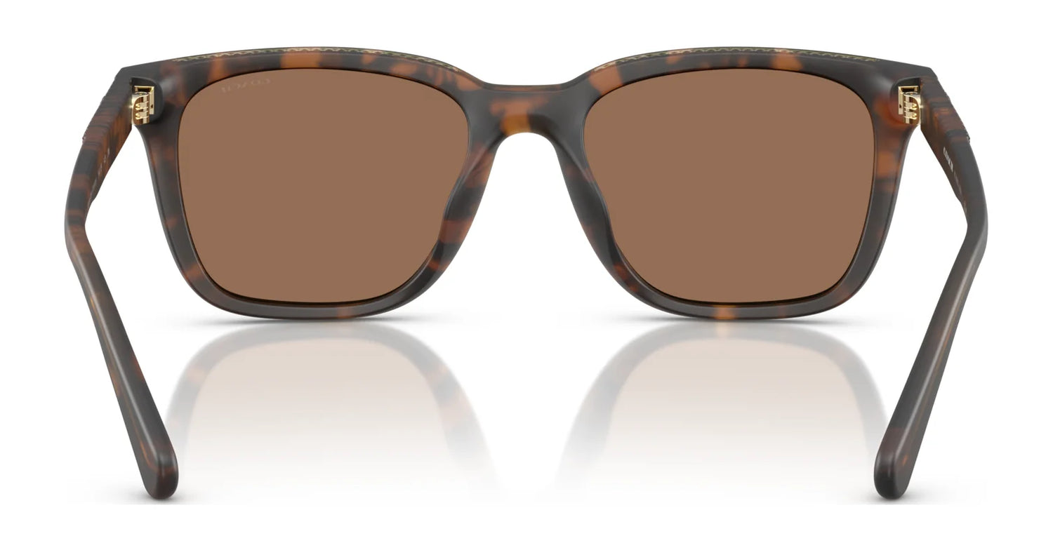 Coach CAD81 HC8426U Sunglasses | Size 54 Coach CAD81 HC8426U Sunglasses | Size 54