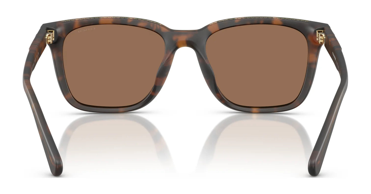 Coach CAD81 HC8426U Sunglasses | Size 54 Coach CAD81 HC8426U Sunglasses | Size 54