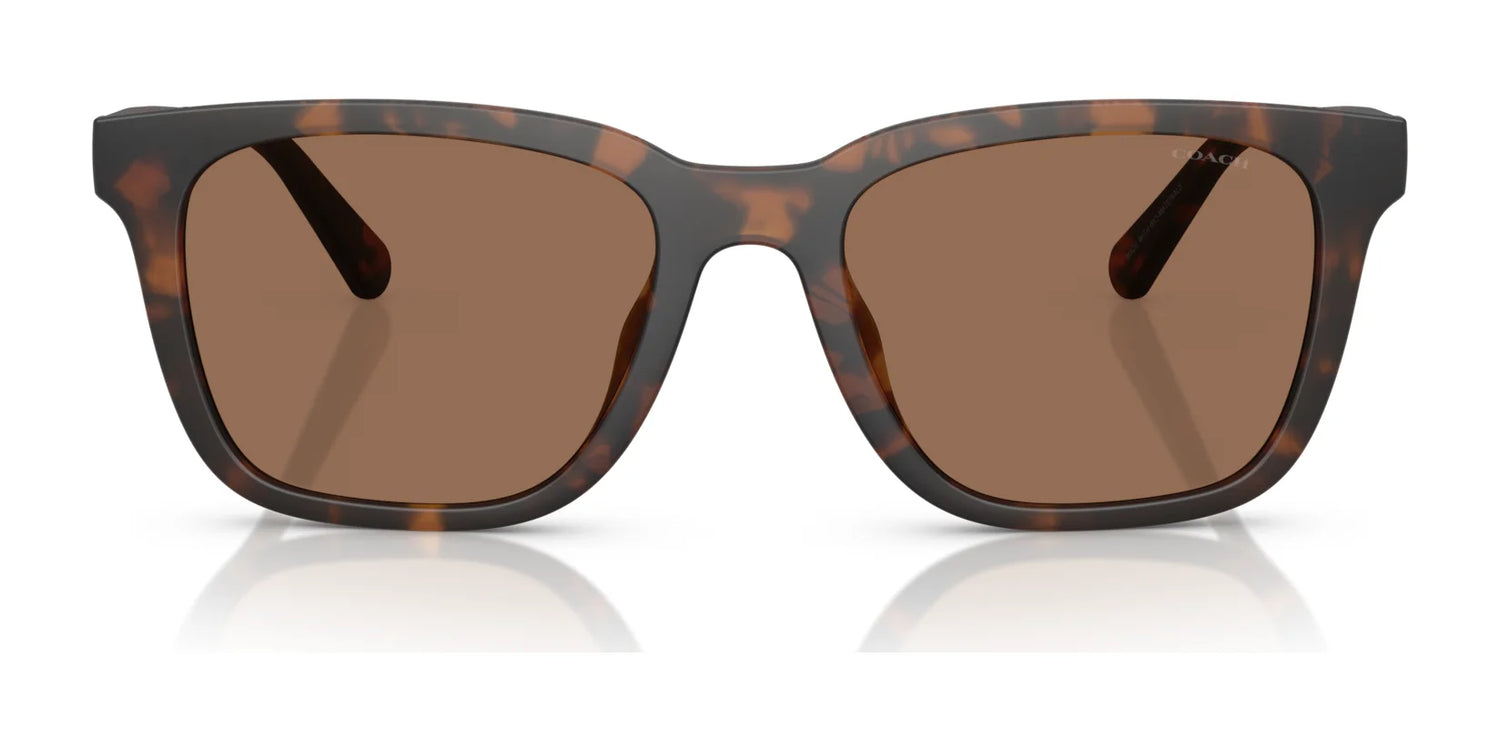 Coach CAD81 HC8426U Sunglasses | Size 54 Coach CAD81 HC8426U Sunglasses | Size 54