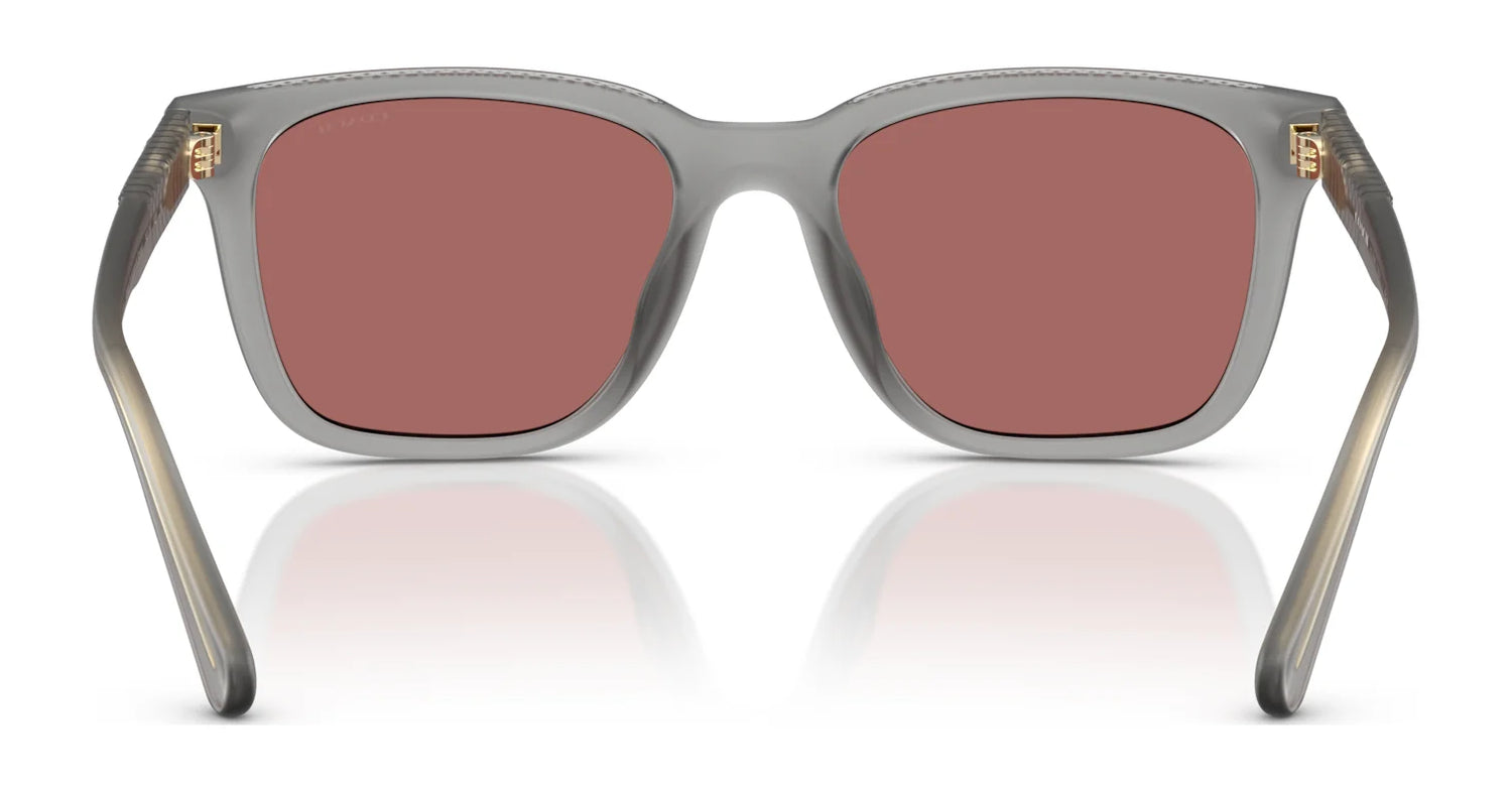 Coach CAD81 HC8426U Sunglasses | Size 54 Coach CAD81 HC8426U Sunglasses | Size 54