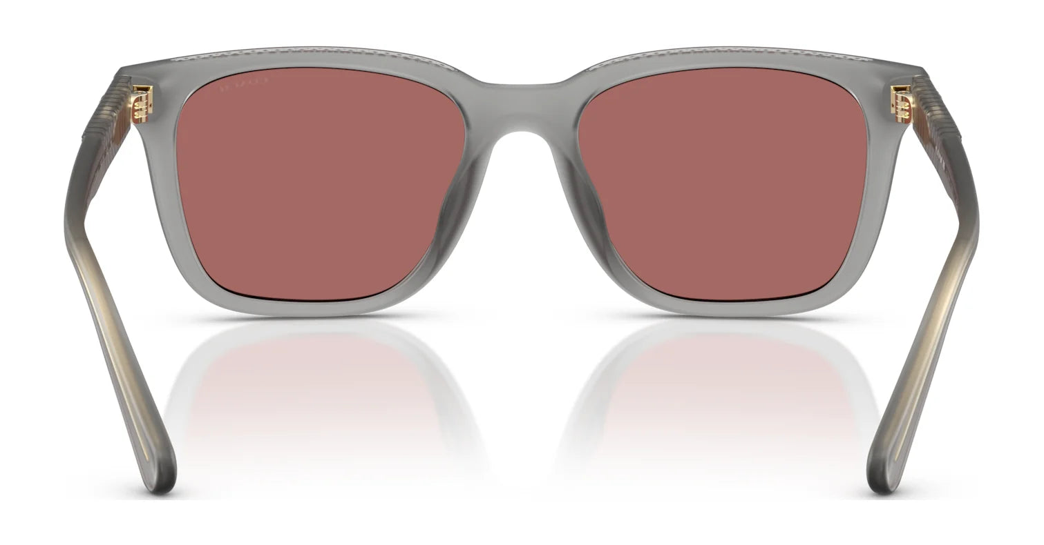 Coach CAD81 HC8426U Sunglasses | Size 54 Coach CAD81 HC8426U Sunglasses | Size 54