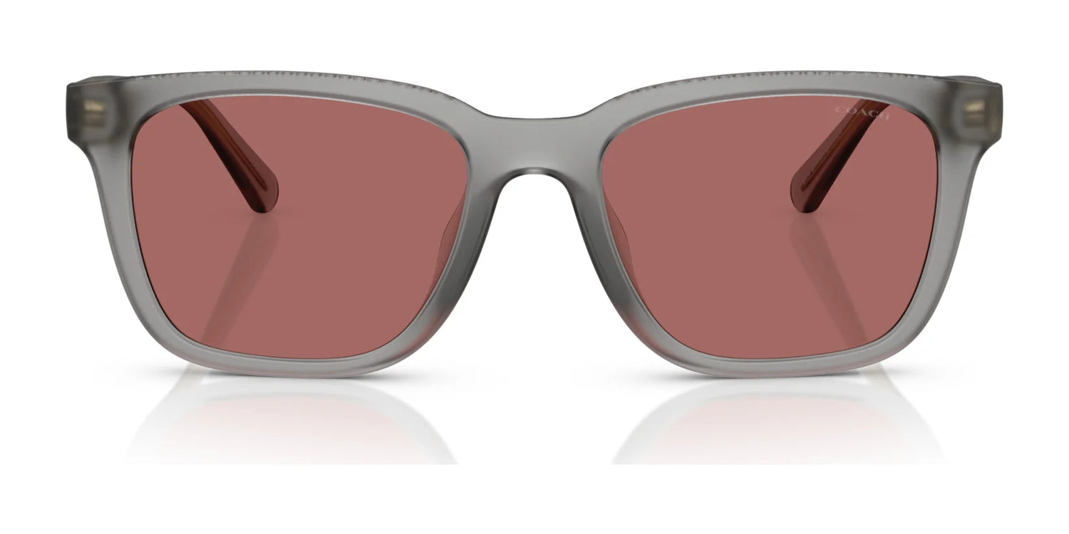 Coach CAD81 HC8426U Sunglasses | Size 54 Coach CAD81 HC8426U Sunglasses | Size 54