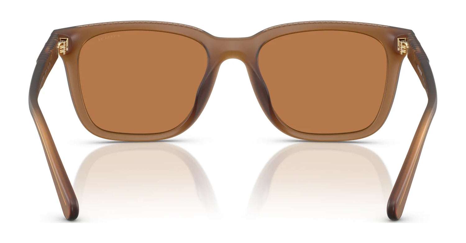 Coach CAD81 HC8426U Sunglasses | Size 54 Coach CAD81 HC8426U Sunglasses | Size 54