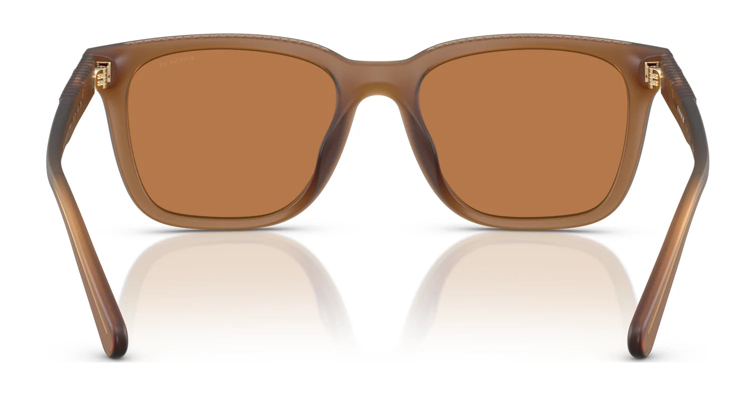 Coach CAD81 HC8426U Sunglasses | Size 54 Coach CAD81 HC8426U Sunglasses | Size 54