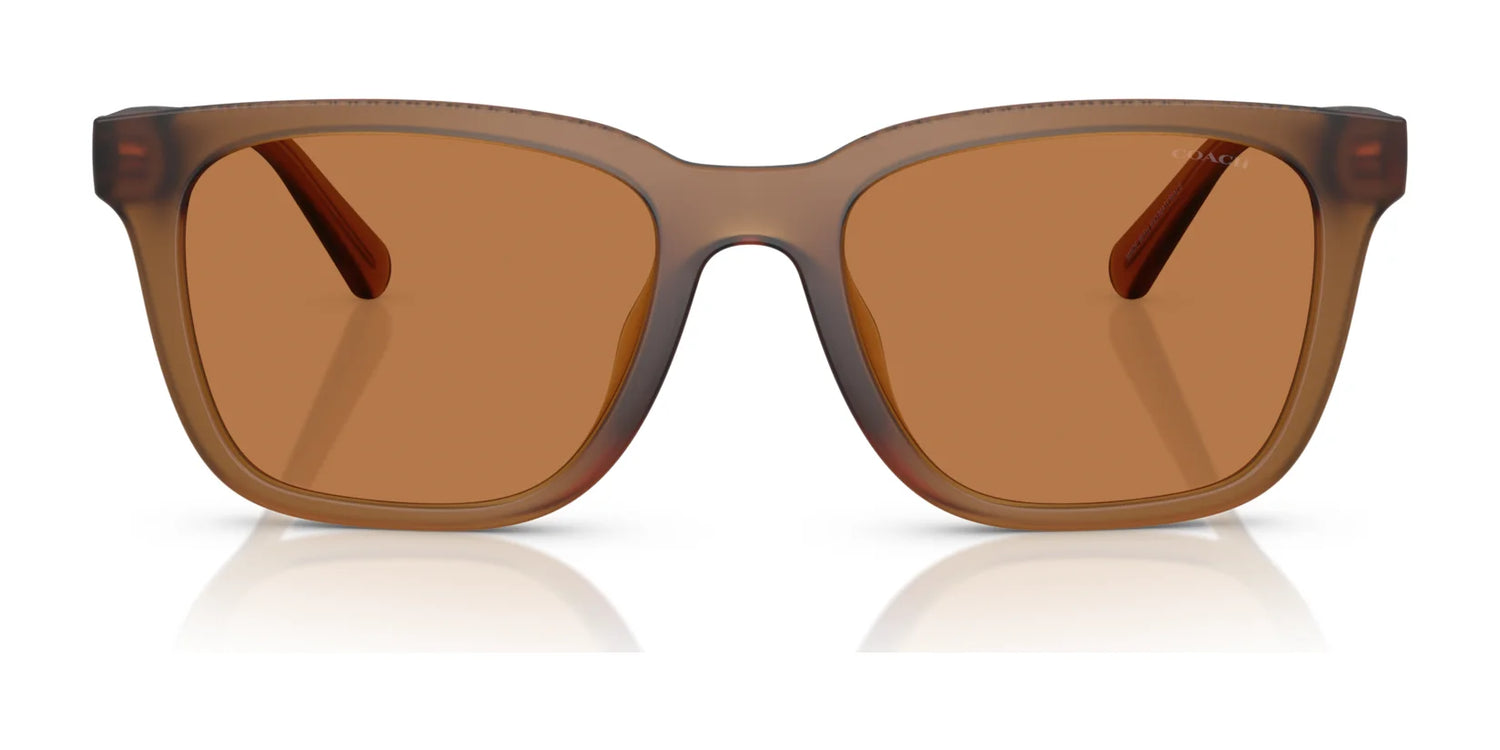 Coach CAD81 HC8426U Sunglasses | Size 54 Coach CAD81 HC8426U Sunglasses | Size 54