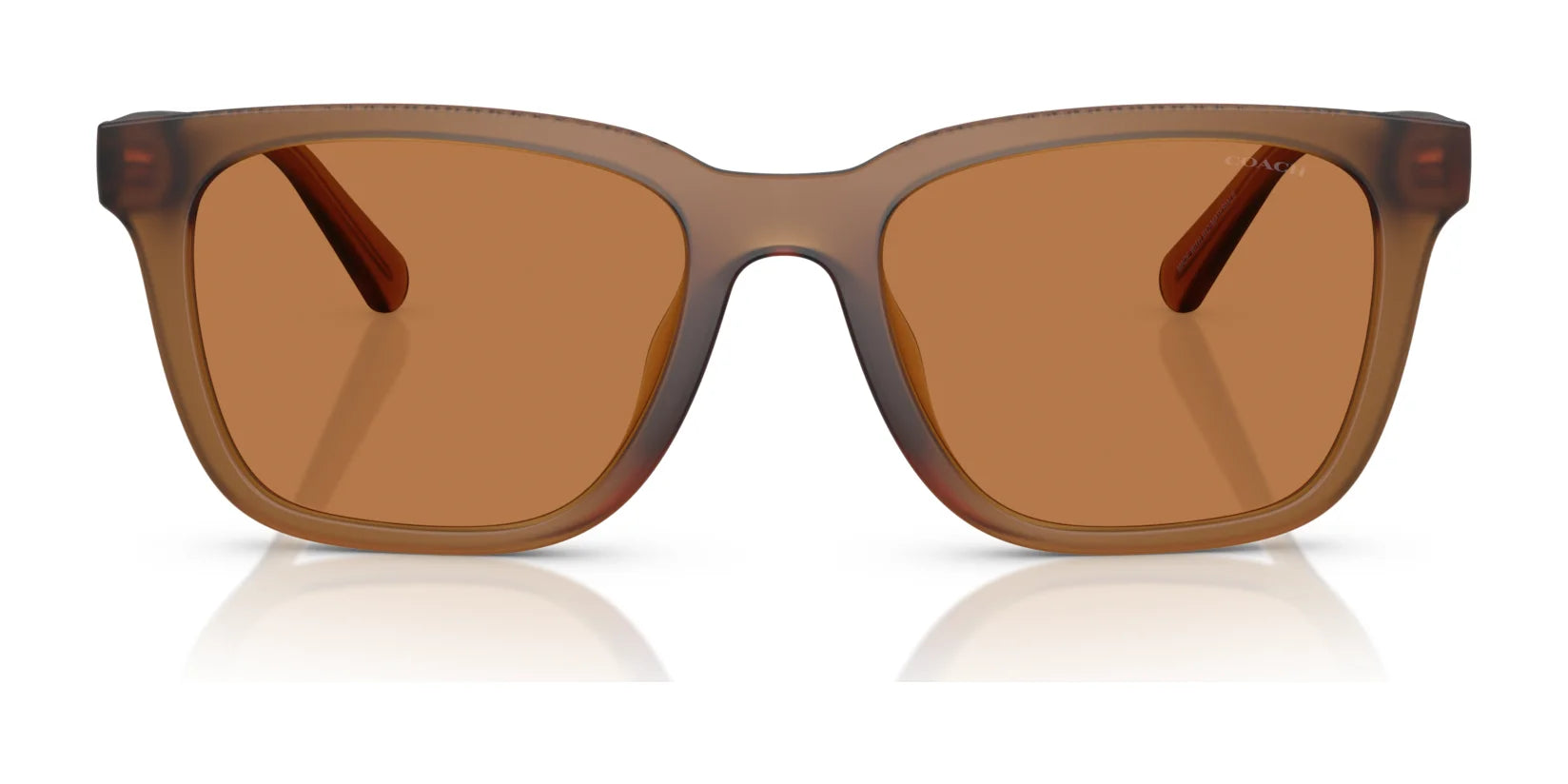 Coach CAD81 HC8426U Sunglasses | Size 54 Coach CAD81 HC8426U Sunglasses | Size 54