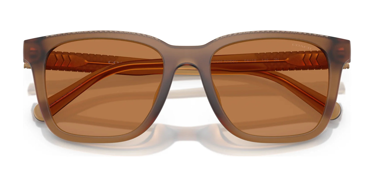 Coach CAD81 HC8426U Sunglasses | Size 54 Coach CAD81 HC8426U Sunglasses | Size 54