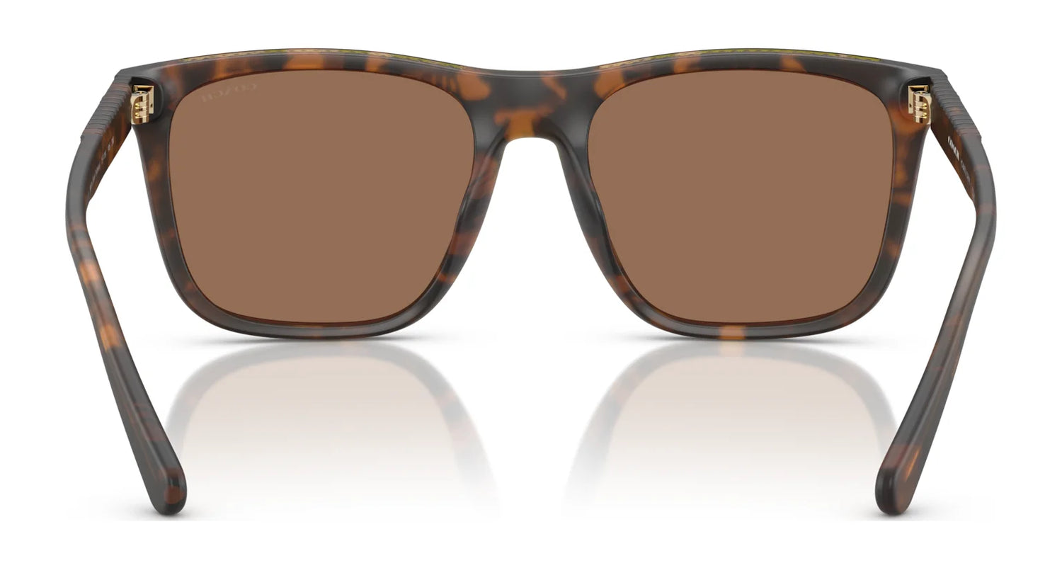Coach CAE78 HC8427U Sunglasses | Size 57 Coach CAE78 HC8427U Sunglasses | Size 57