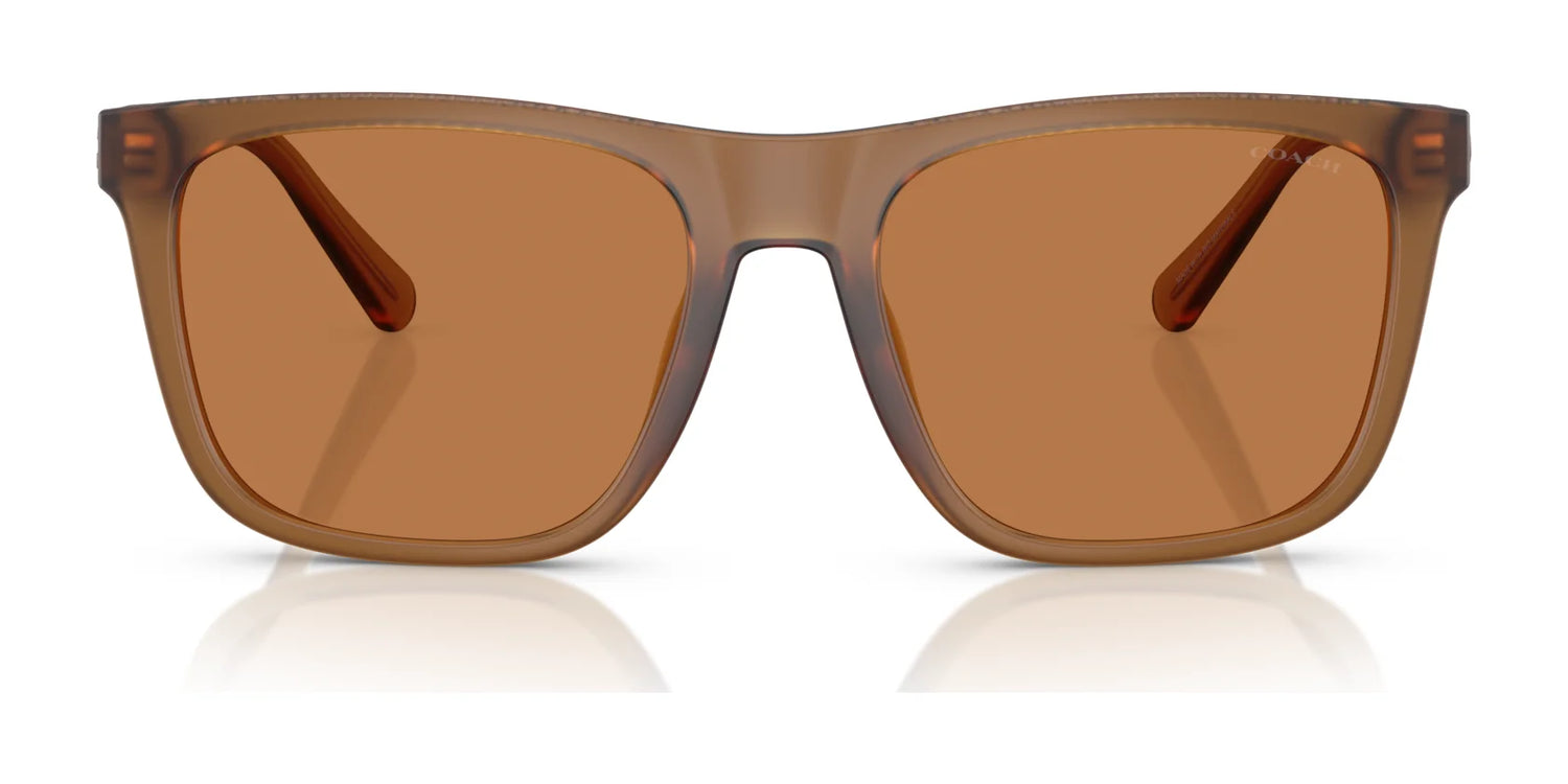 Coach CAE78 HC8427U Sunglasses | Size 57 Coach CAE78 HC8427U Sunglasses | Size 57