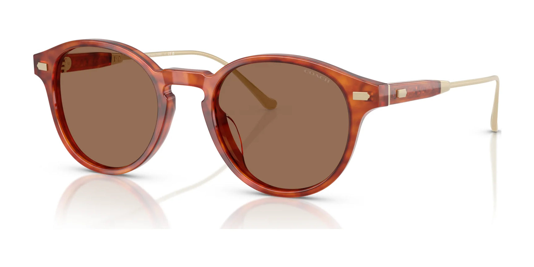 Coach CAD83 HC8428U Sunglasses Caramel Tortoise / Brown Solid Coach CAD83 HC8428U Sunglasses Caramel Tortoise / Brown Solid