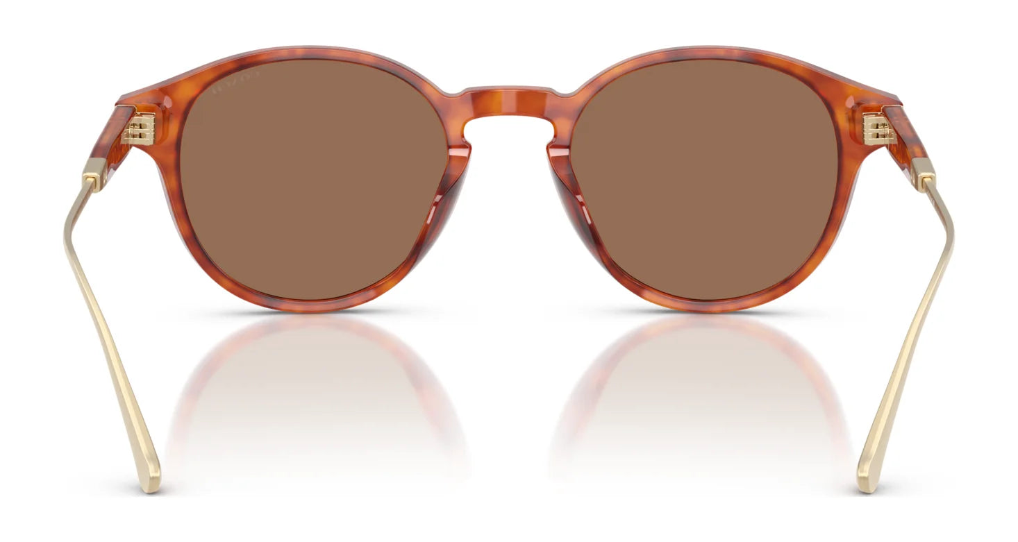 Coach CAD83 HC8428U Sunglasses | Size 50 Coach CAD83 HC8428U Sunglasses | Size 50