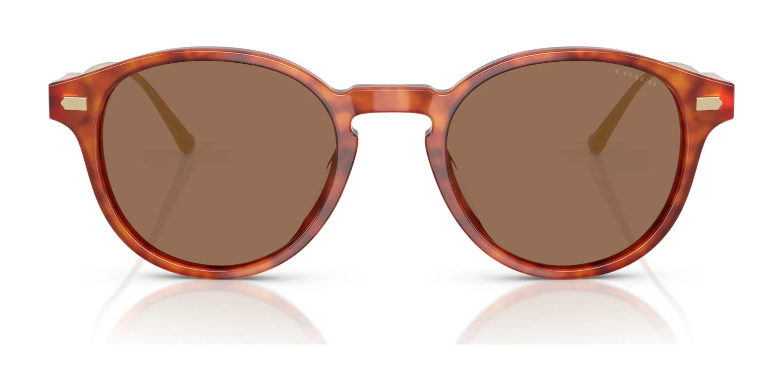 Coach CAD83 HC8428U Sunglasses | Size 50 Coach CAD83 HC8428U Sunglasses | Size 50