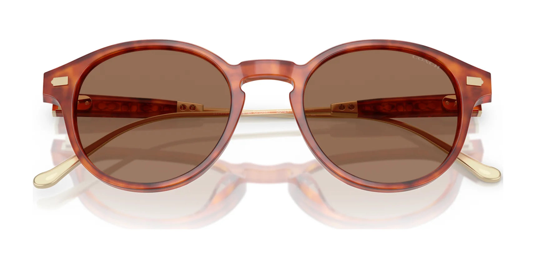 Coach CAD83 HC8428U Sunglasses | Size 50 Coach CAD83 HC8428U Sunglasses | Size 50