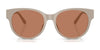 Coach CAE87 HC8430D Sunglasses | Size 56 / Black / Grey Solid (3N 10%) №500287