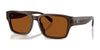 Coach CBY96 HC8441U Sunglasses | Size 55 / Transparent Brown / Brown Solid (3N 15.3%) №591173