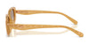 Coach CBY84 HC8443D Sunglasses | Size 54 / Black / Amber Solid (2N 23.7%) №500273