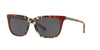 Coach L1025 HC8236 Sunglasses / Amber Grey Multi Tortoise №551987 / Dark Grey (3N 10%) / Size 56