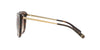 Coach L1040 HC8246 Sunglasses / Dark Tortoise №541713 / Brown Gradient (3N 16%) / Size 55