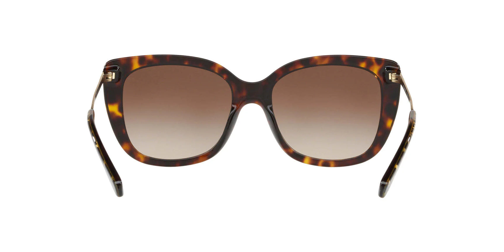 Coach L1040 HC8246 Sunglasses Coach L1040 HC8246 Sunglasses