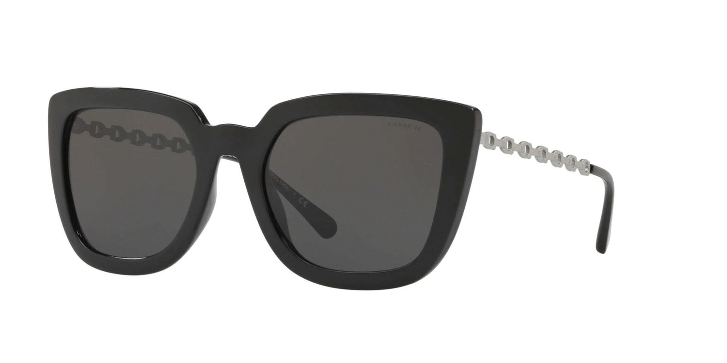 Coach L1064 HC8258U Sunglasses Coach L1064 HC8258U Sunglasses