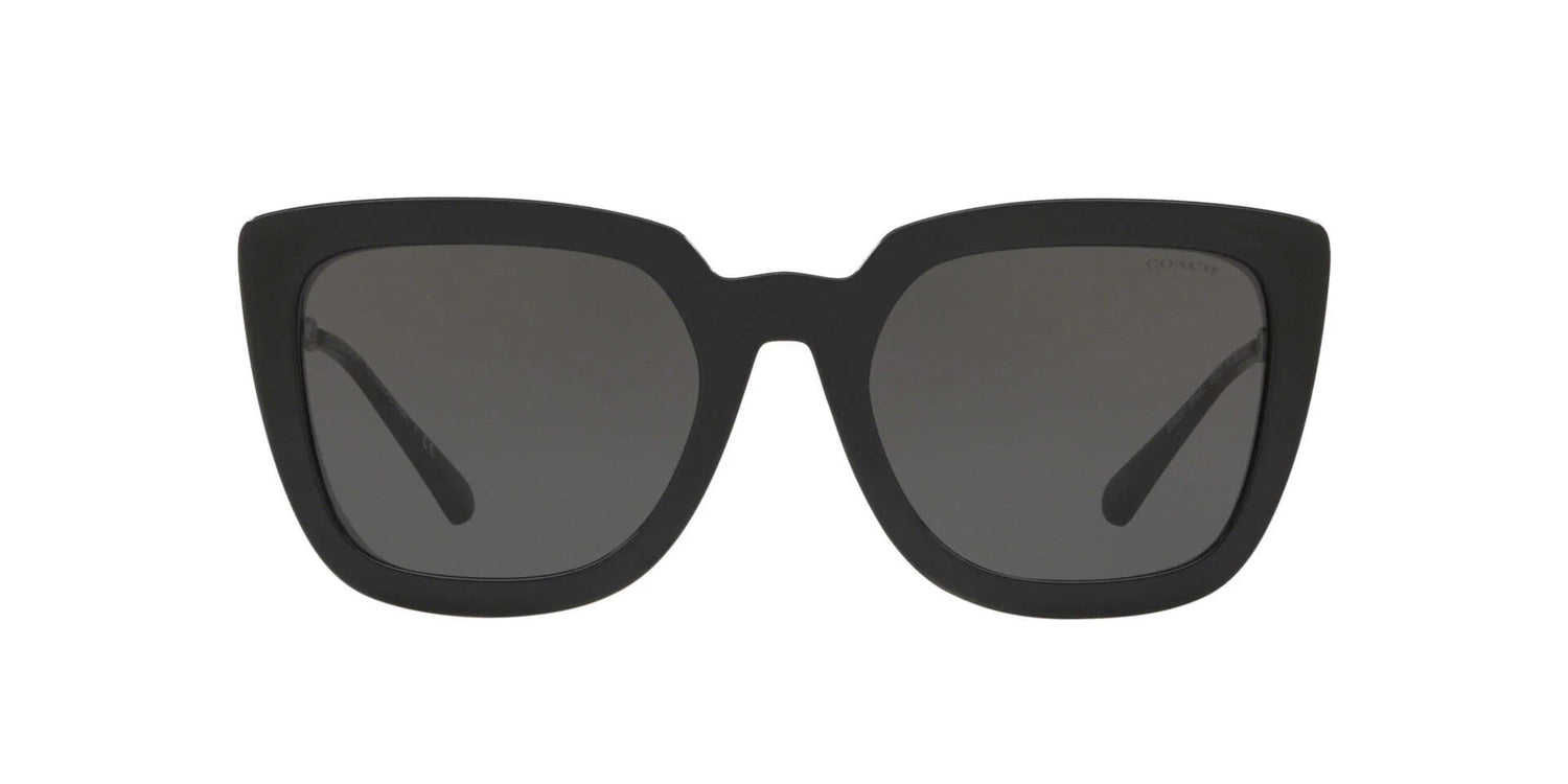 Coach L1064 HC8258U Sunglasses Coach L1064 HC8258U Sunglasses