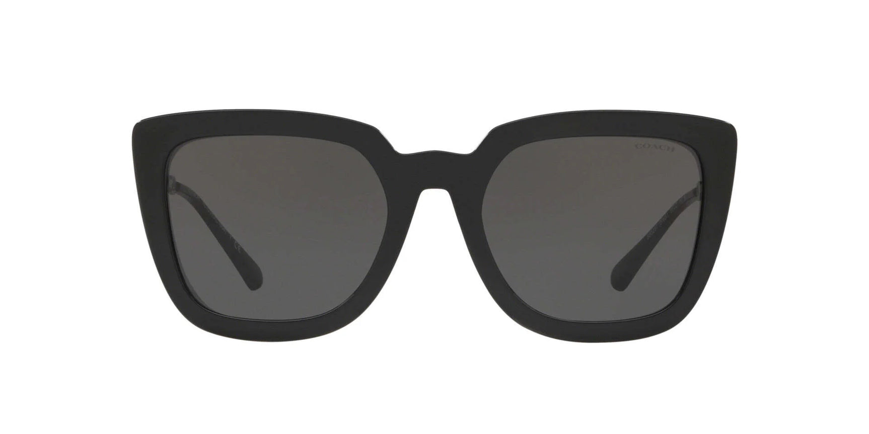 Coach L1064 HC8258U Sunglasses Coach L1064 HC8258U Sunglasses