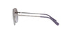 Coach L1089 HC7094 Sunglasses / Gunmetal №90044Q / Grey Purple Gradient (2N 31.1%) / Size 60