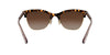 Coach L1113 HC8277 Sunglasses / Dark Tortoise №512013 / Brown Gradient (3N 10.7%) / Size 55