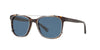 Coach L1657 HC8220 Sunglasses / Dark Tortoise / Silver №512080 / Dark Blue (3N 15.2%) / Size 54