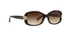 Coach LILLIAN HC8003 Sunglasses / Dark Tortoise №503313 / Brown Gradient (3N 16%) / Size 55