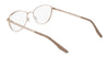 Converse CV1014 Eyeglasses | Size 52 / Satin Gold/Engine Smoke