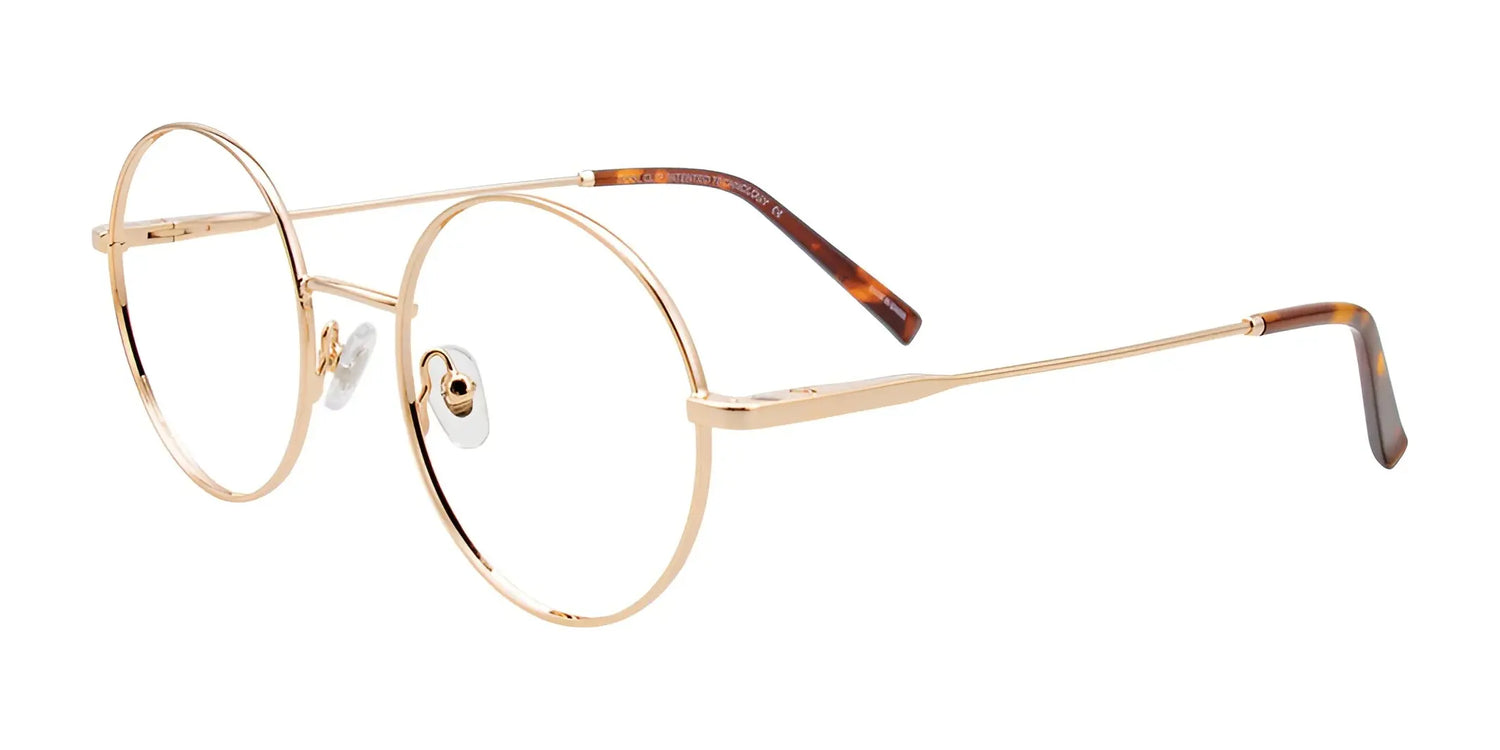 CoolClip CC850 Eyeglasses with Clip-on Sunglasses Soft Gold CoolClip CC850 Eyeglasses with Clip-on Sunglasses Soft Gold