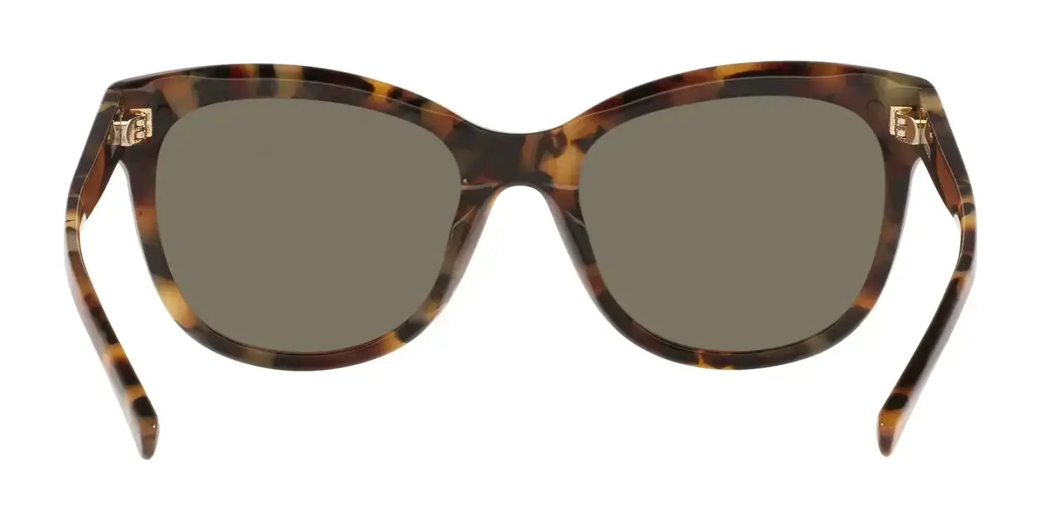 Costa BIMINI 6S2004 Sunglasses | Size 54 Costa BIMINI 6S2004 Sunglasses | Size 54