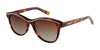 Di Valdi DV0031S Sunglasses | Size 51 / Color №010