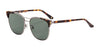 Di Valdi NICOLA DV0094 Sunglasses | Size 55 / Color №030