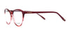 Di Valdi DVO8196 Eyeglasses | Size 54 / Color №030