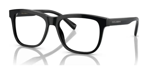 Dolce&Gabbana DX3356 Eyeglasses / Black №501 / Size 49