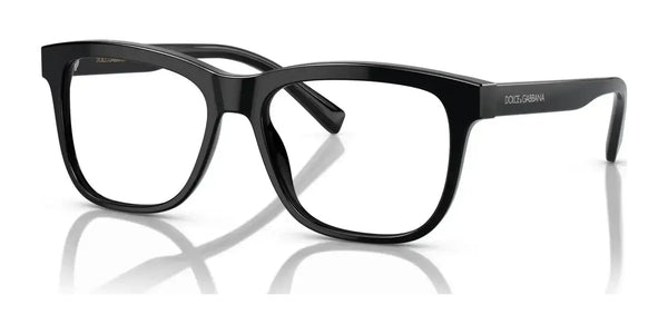Dolce&Gabbana DX3356 Eyeglasses / Black №501 / Size 49